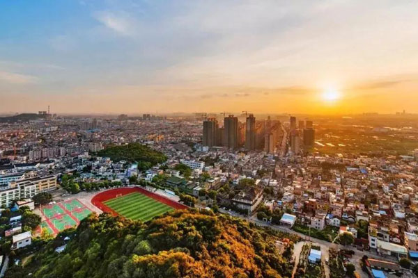 支持和服務(wù)好現(xiàn)有企業(yè)！黃圃鎮(zhèn)全力以赴促發(fā)展